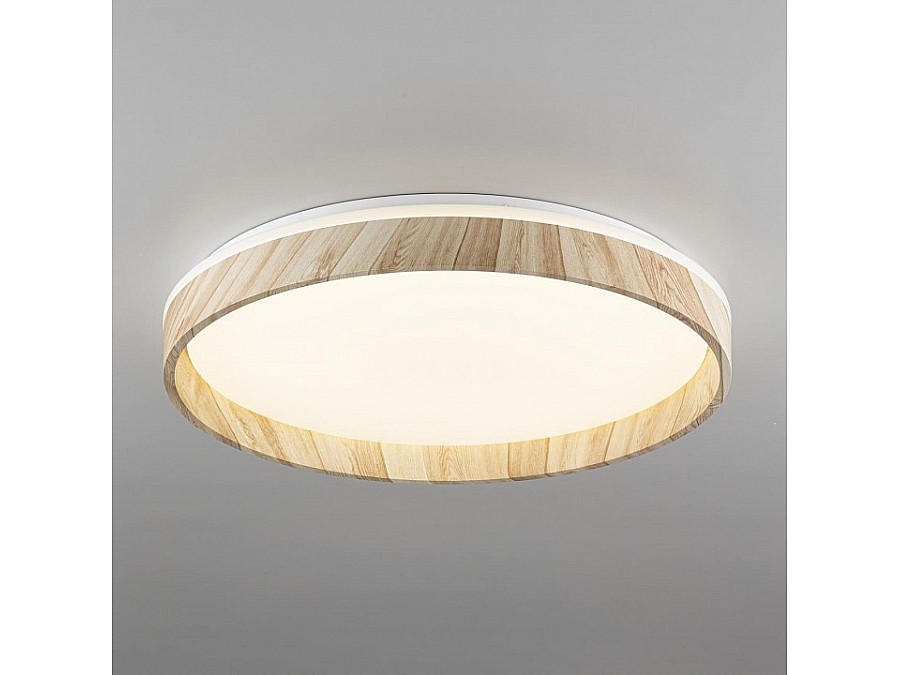 Накладной светильник Citilux ENZO CL753452G