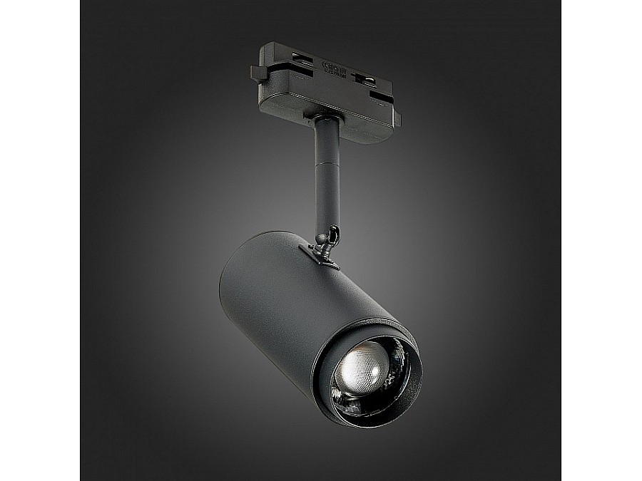 Светильник на штанге ST-Luce Zoom ST600.446.12