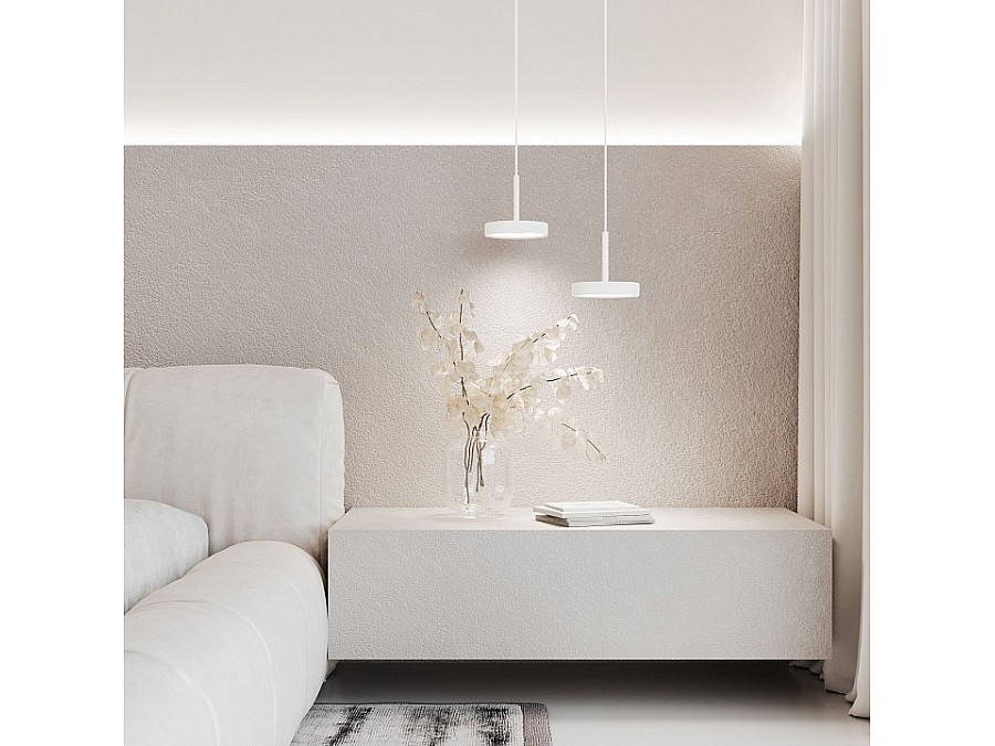 Подвесной светильник Elektrostandard Plate a065412