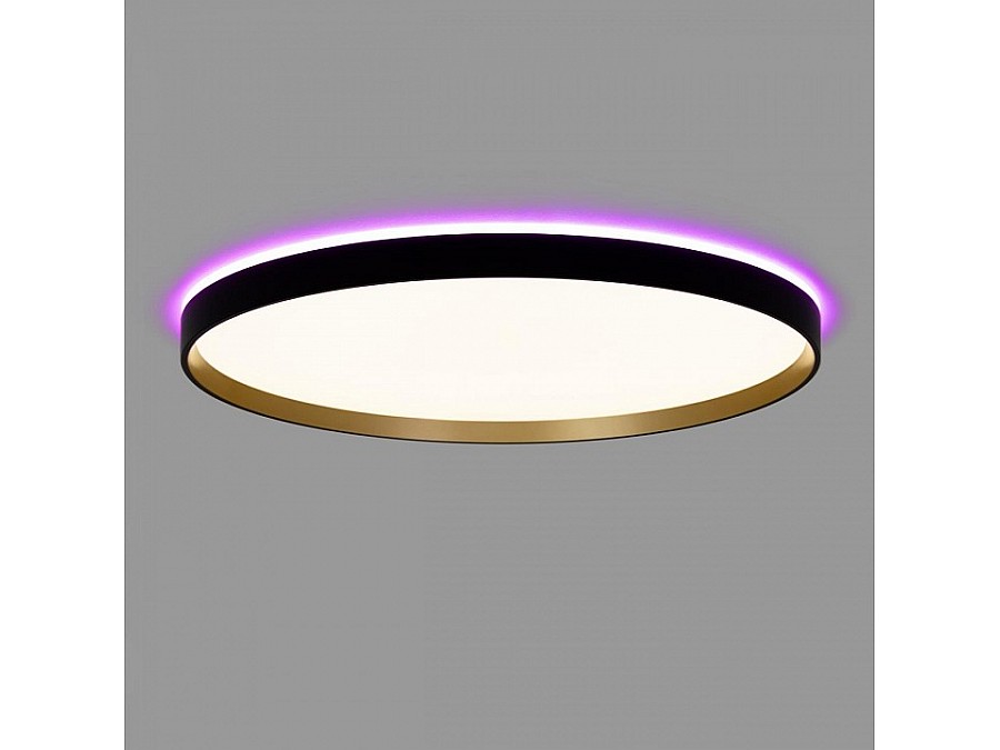 Накладной светильник Citilux ETALON CL750501R