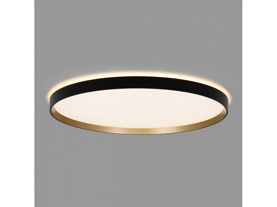 Накладной светильник Citilux ETALON CL750501R