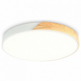 Накладной светильник Ambrella FZ FZ1300