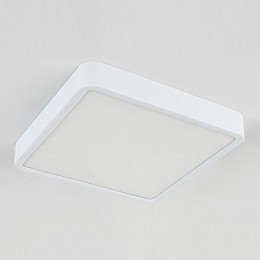 Накладной светильник Elektrostandard DLR034 a043017