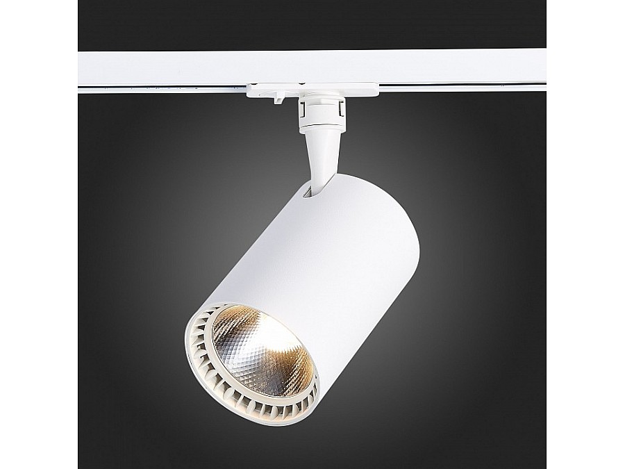 Светильник на штанге ST-Luce Cami ST351.546.30.36