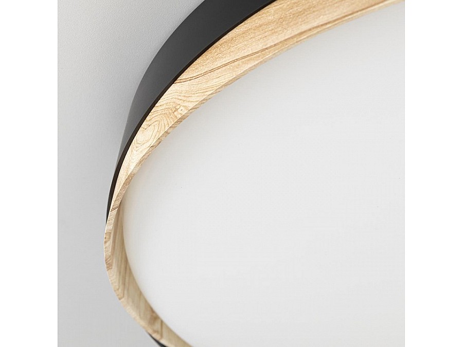 Накладной светильник Citilux BONNY CL754451G