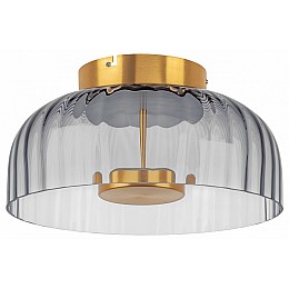 Накладной светильник Lightstar Celesta 809061