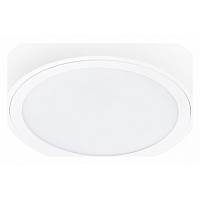 Накладной светильник Lightstar Urbano 216904