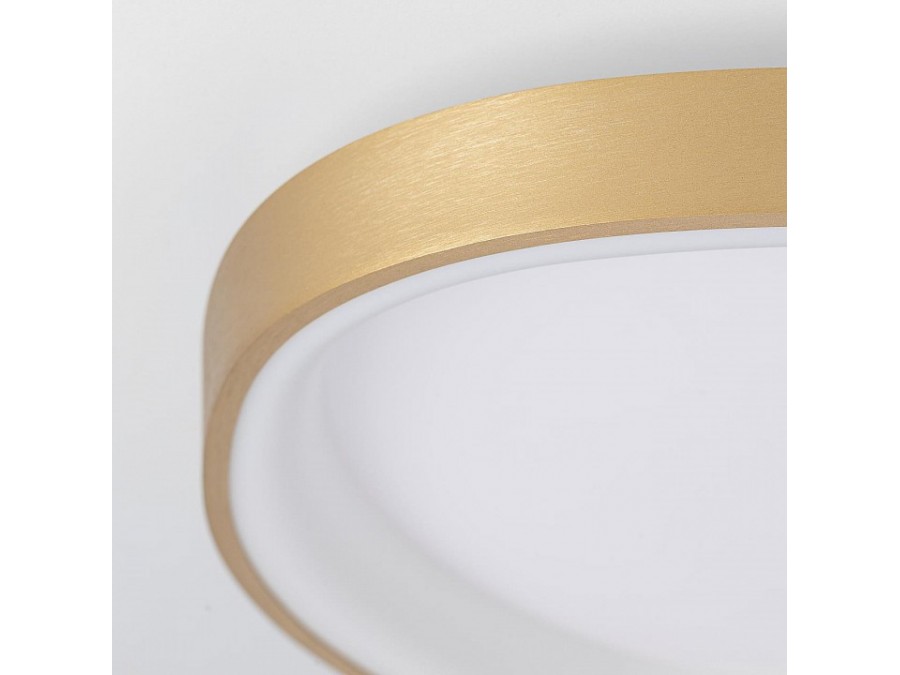 Накладной светильник Citilux GENKA SMART CL756A142