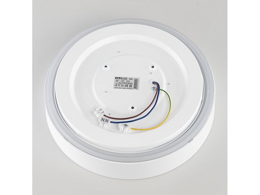 Накладной светильник Citilux BOSS CL751250G