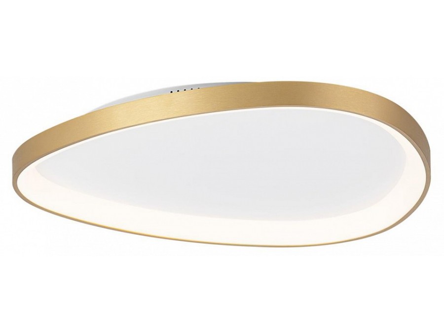 Накладной светильник Citilux GENKA SMART CL756A162