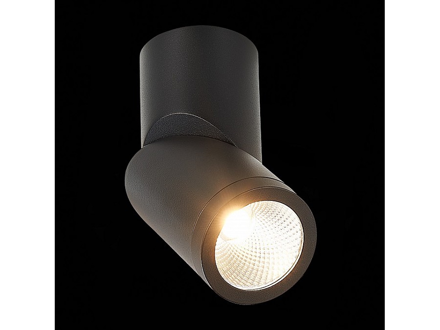 Светильник на штанге ST-Luce ST650 ST650.442.10