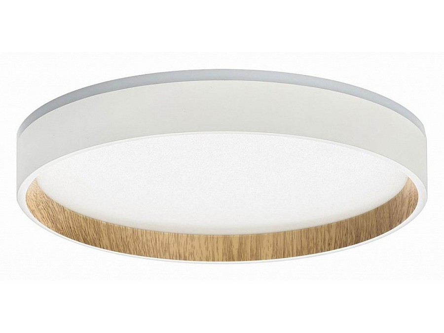 Накладной светильник Citilux Etalon CL750240