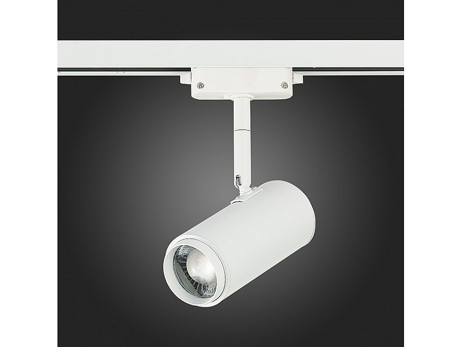 Светильник на штанге ST-Luce Zoom ST600.546.12