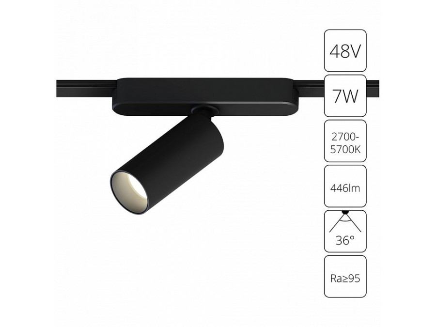 Светильник на штанге Arte Lamp Rapid A2956PL-1BK