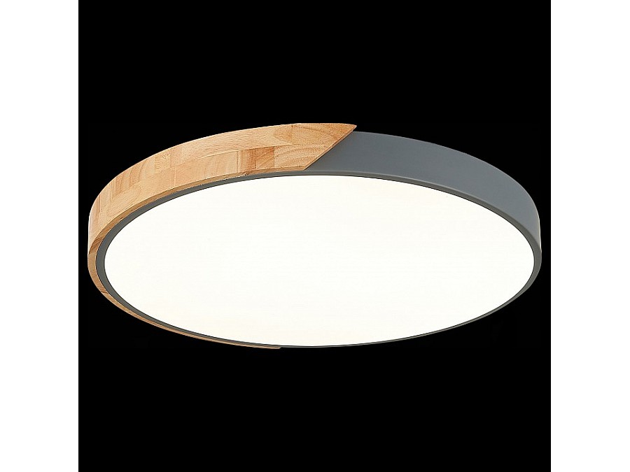 Накладной светильник EVOLUCE Festa SLE200972-01