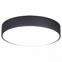 Накладной светильник Citilux Тао CL712242N