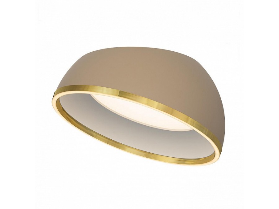 Накладной светильник Citilux FLOOM CL736152