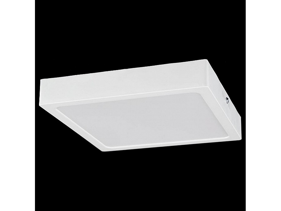 Накладной светильник Citilux Галс CL55K22N
