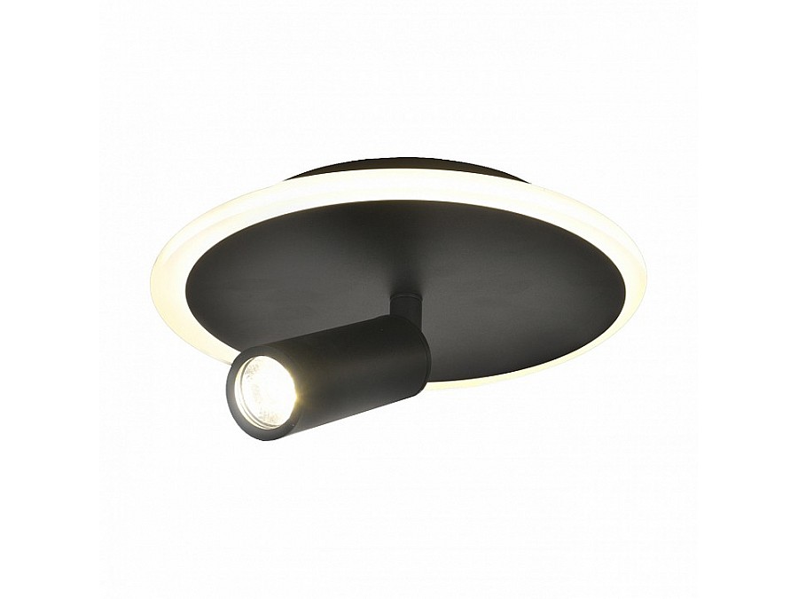 Светильник на штанге Escada 20046LED 20046SMA/01LED BK