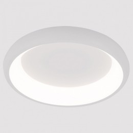 Накладной светильник Arte Lamp None A2694PL-45WH