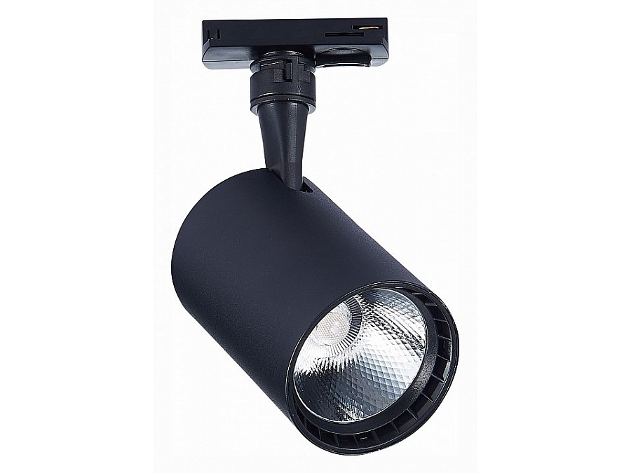 Светильник на штанге ST-Luce Cami ST351.446.20.36