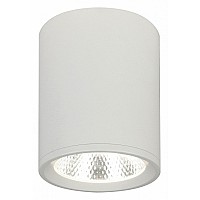 Накладной светильник Escada 20003 20003SMU/02LED SWH