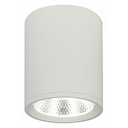 Накладной светильник Escada 20003 20003SMU/02LED SWH