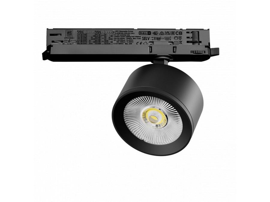 Светильник на штанге Lightstar Alta Pro A5537DALI