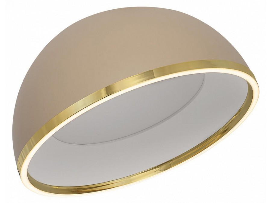 Накладной светильник Citilux FLOOM CL736152