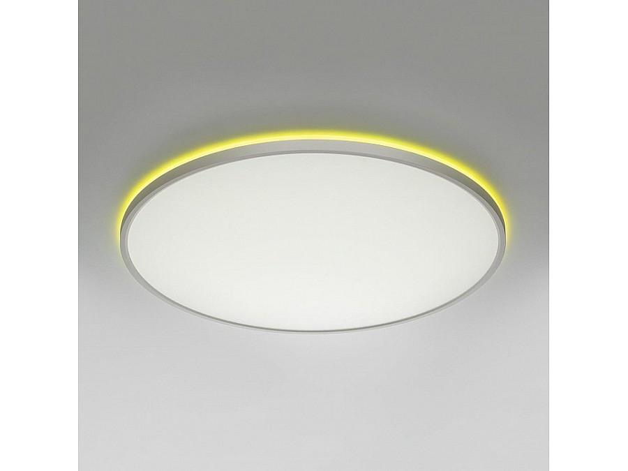 Накладной светильник Citilux NORMA CL749600