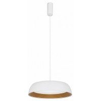 Подвесной светильник EVOLUCE MUSE SLE1812-503-01