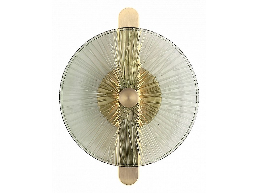 Накладной светильник ST-Luce WASI SL6141.321.01