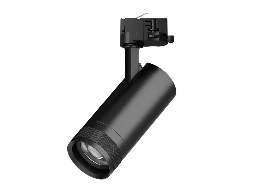 Светильник на штанге Lightstar Canno Pro C4207QT