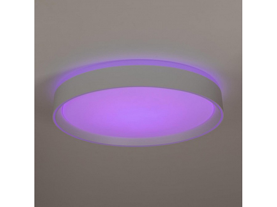 Накладной светильник Citilux BOSS CL751350G