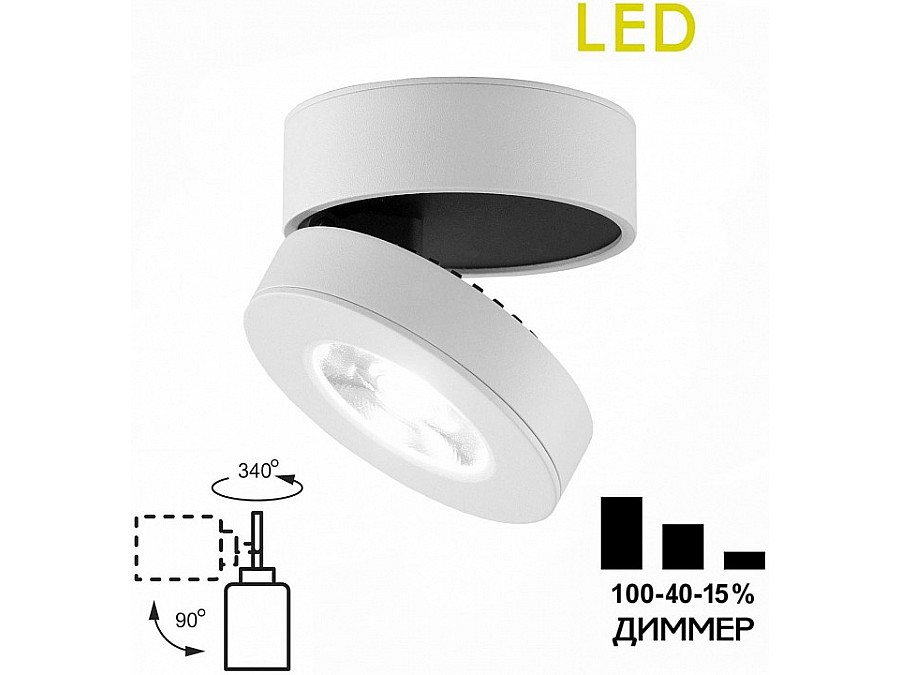 Накладной светильник Citilux Стамп CL558030N