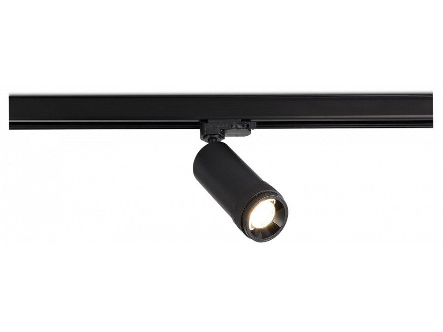 Светильник на штанге ST-Luce ST691 ST691.446.20