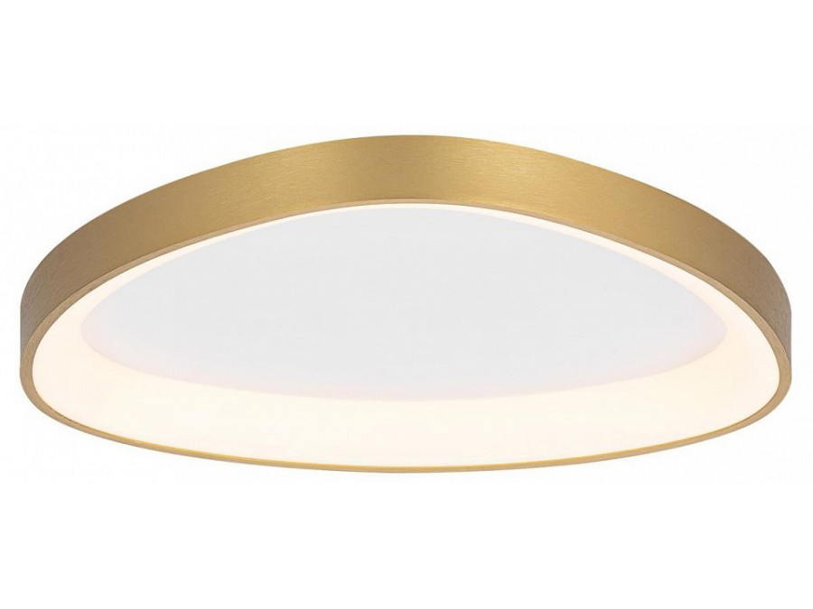 Накладной светильник Citilux GENKA SMART CL756A142