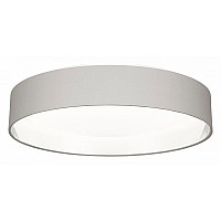 Накладной светильник EVOLUCE Brescia SLE300512-01