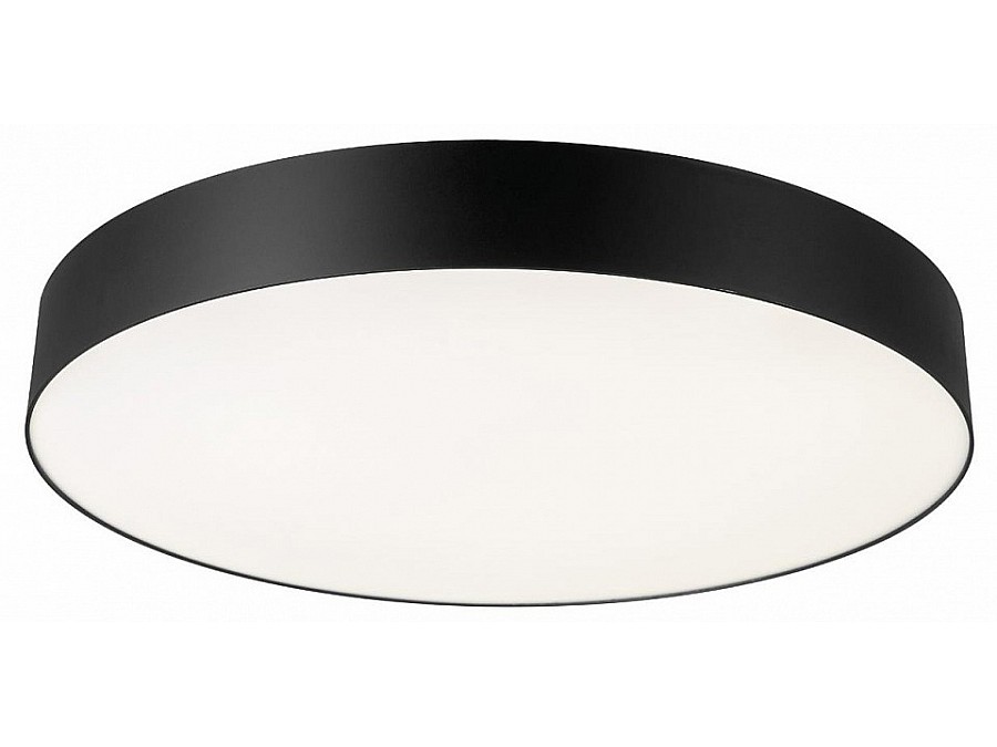 Накладной светильник Citilux BART CL755491