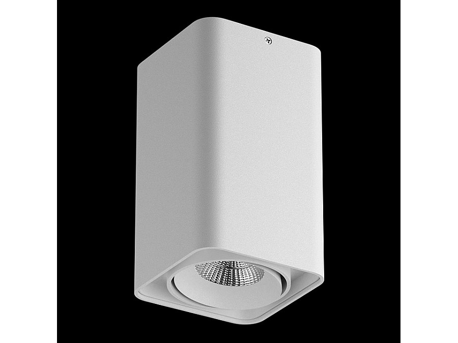 Накладной светильник Lightstar Monocco 052136-IP65