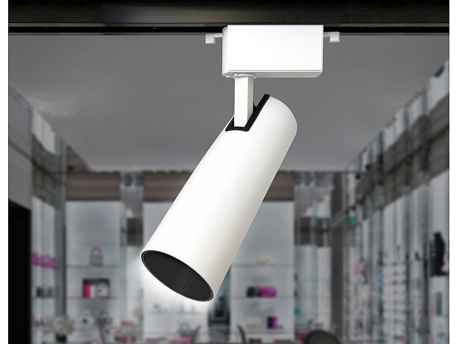 Светильник на штанге Ambrella Light GL GL5853