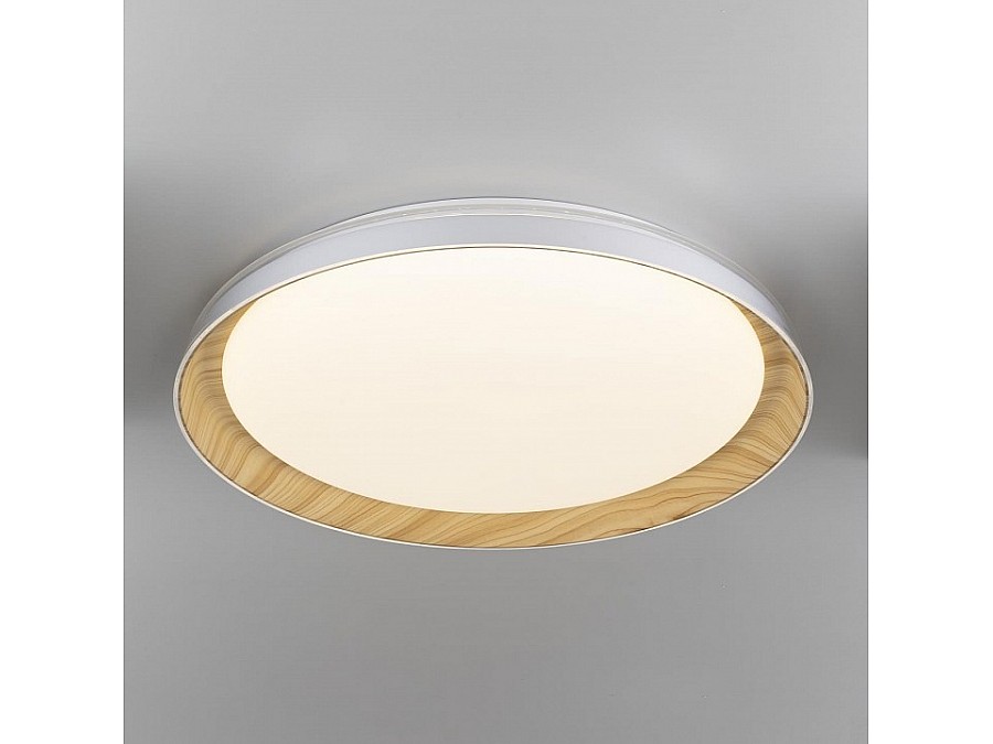 Накладной светильник Citilux MEGA CL752452G