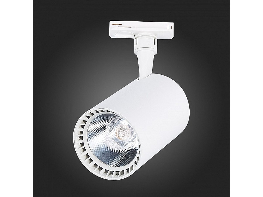 Светильник на штанге ST-Luce Cami ST351.546.30.36