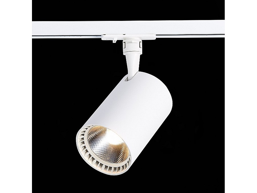 Светильник на штанге ST-Luce Cami ST351.546.30.36