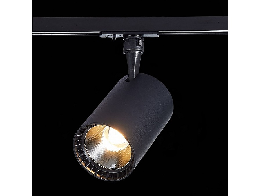 Светильник на штанге ST-Luce Cami ST351.446.20.36