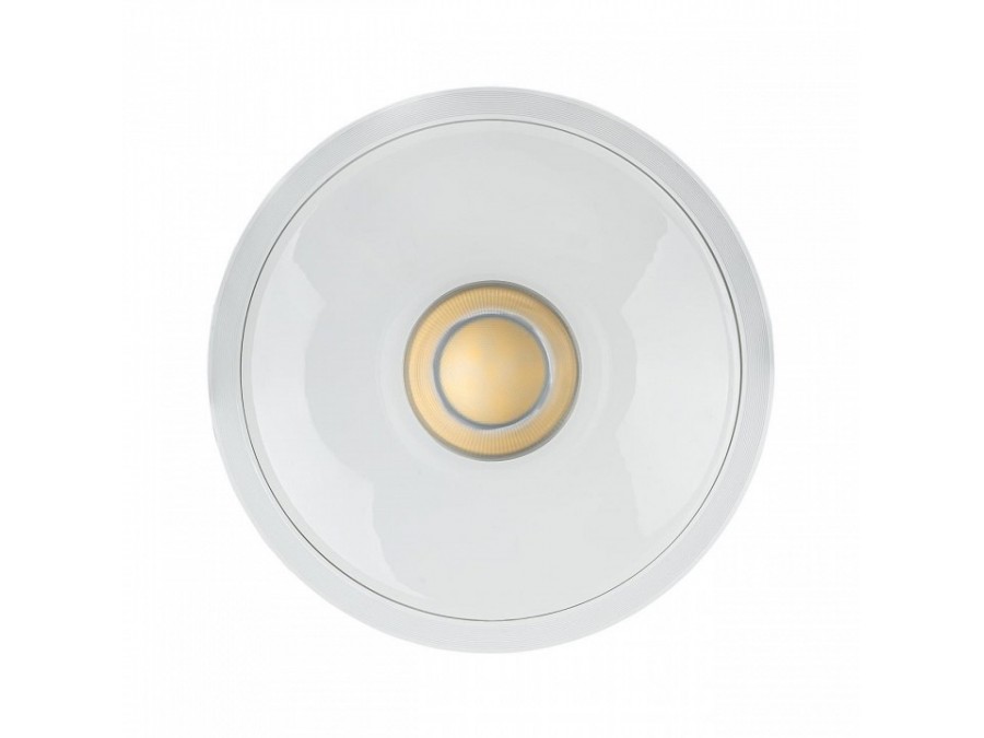 Накладной светильник Citilux Rover CL743150N