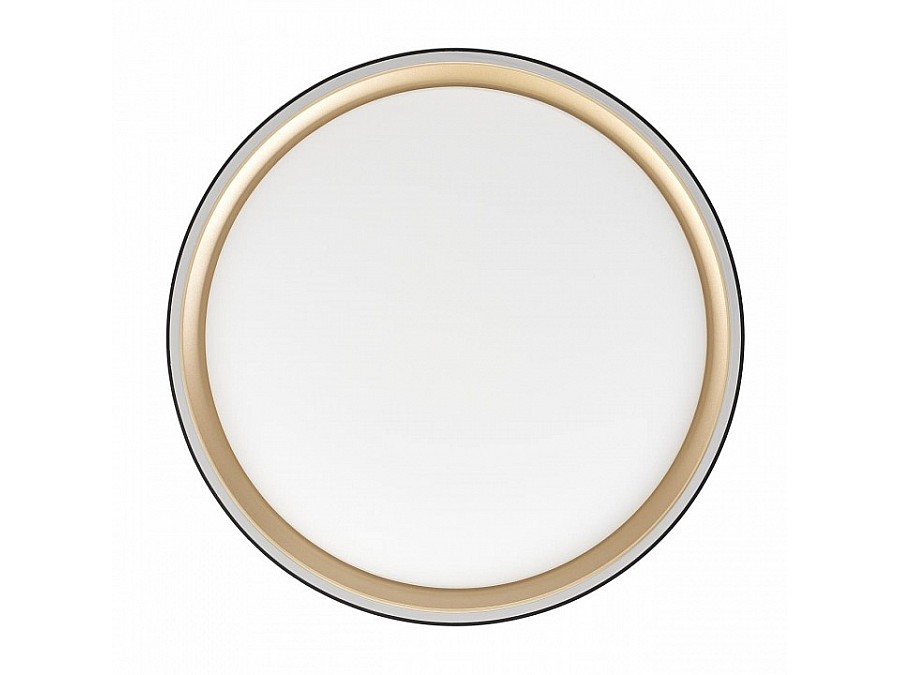 Накладной светильник Citilux BOSS CL751251G