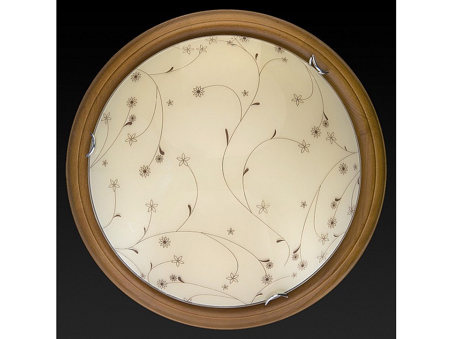 Накладной светильник TopLight Karissa TL9650Y-00OA