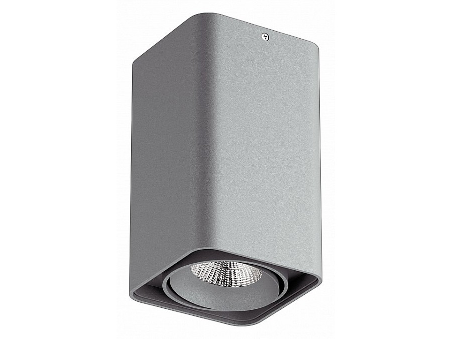 Накладной светильник Lightstar Monocco 052139-IP65