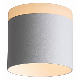 Накладной светильник ST-Luce Panaggio ST102.502.12